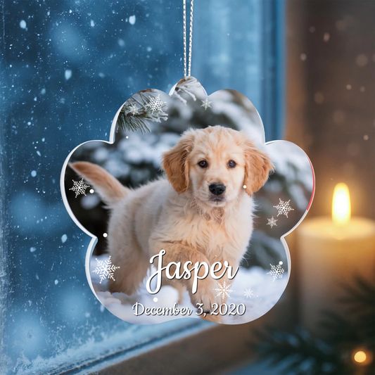 Snowflake Paw Ornament