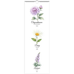 Wall calendars 2026 (US & CA) - Flourish Love Shop